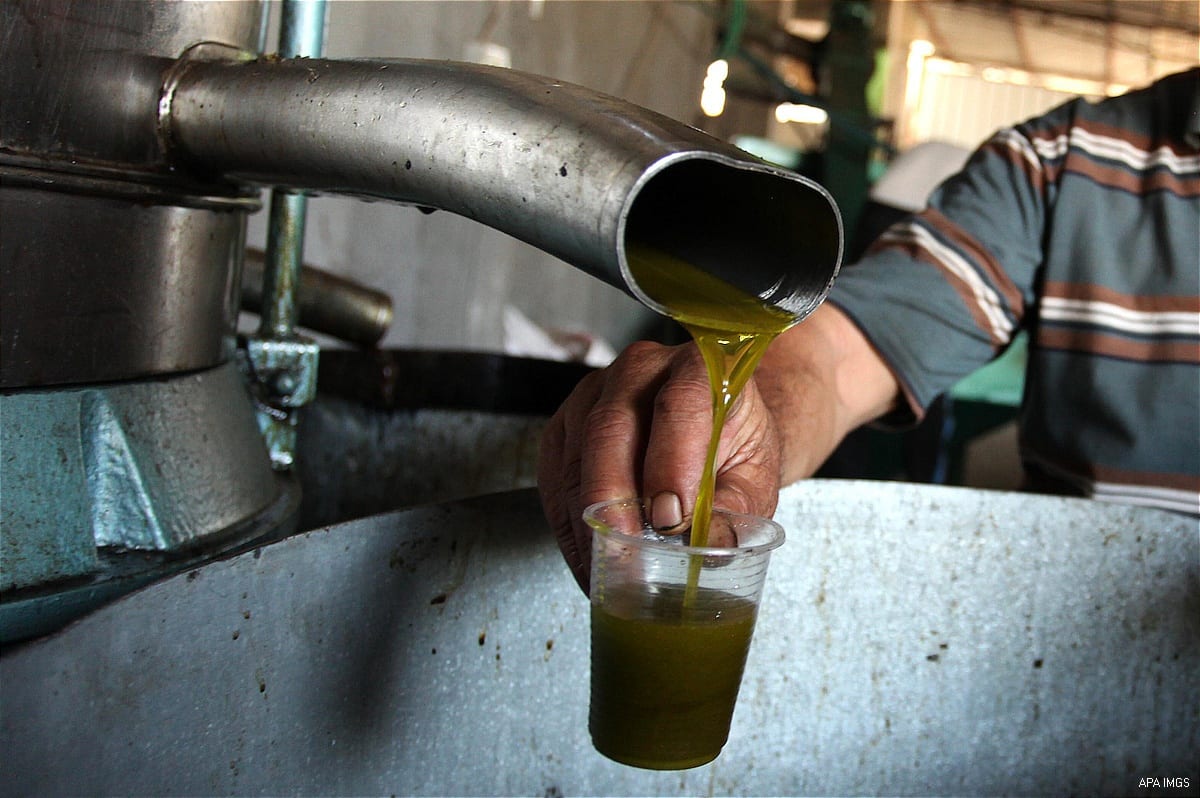 A Palestinian man pours newly-made olive oil into a plastic container at an olive press in Gaza City October 6, 2016. [Ashraf Amra/ APA Images]