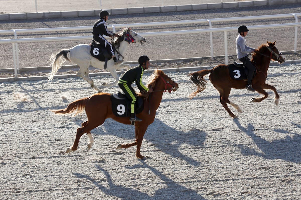 english horse racing english horse racing