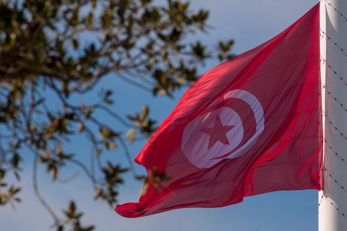 Tunisian flag raised up at Belvedere Park in Tunis on 20 March, 2017 [Amine Landoulsi/Anadolu Agency]