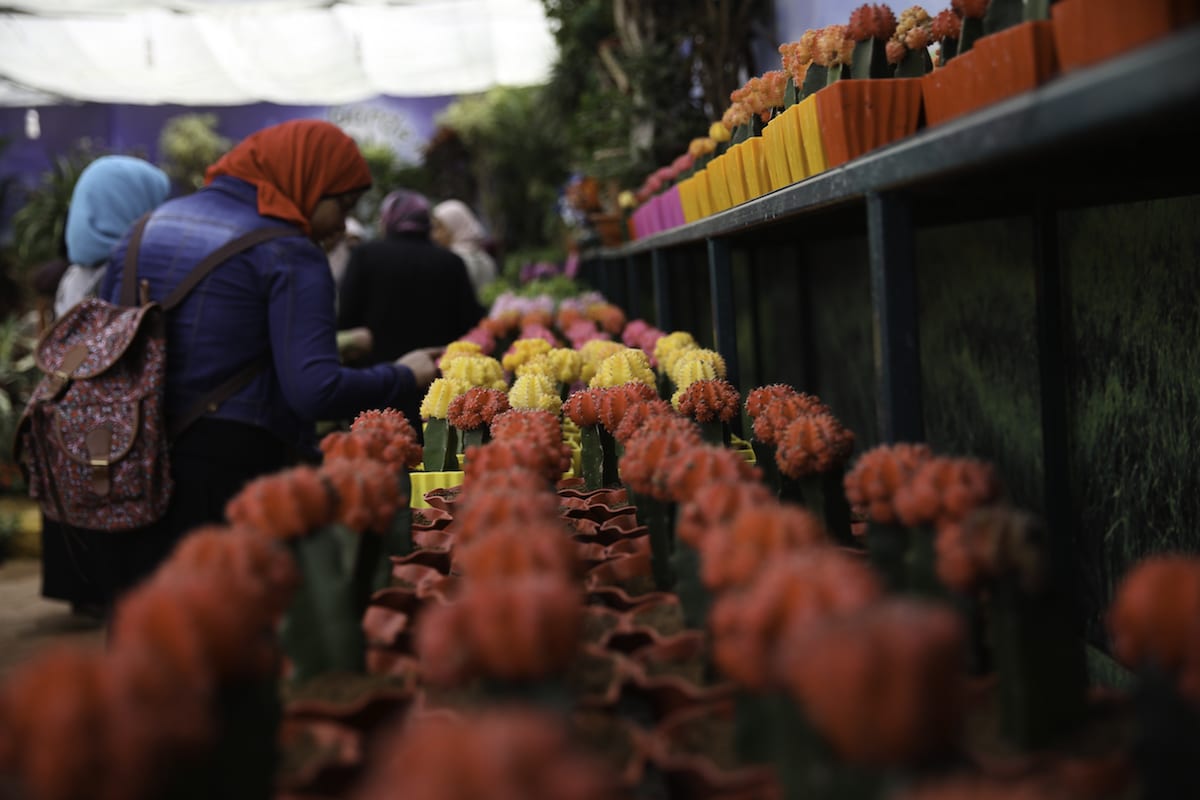 A panoply of flora in Egypt’s Flower Market’ Middle East Monitor