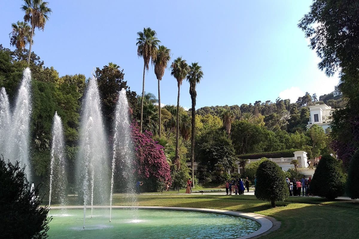 Thumbnail - The Botanical Garden of El Hamma in Algiers, Algeria