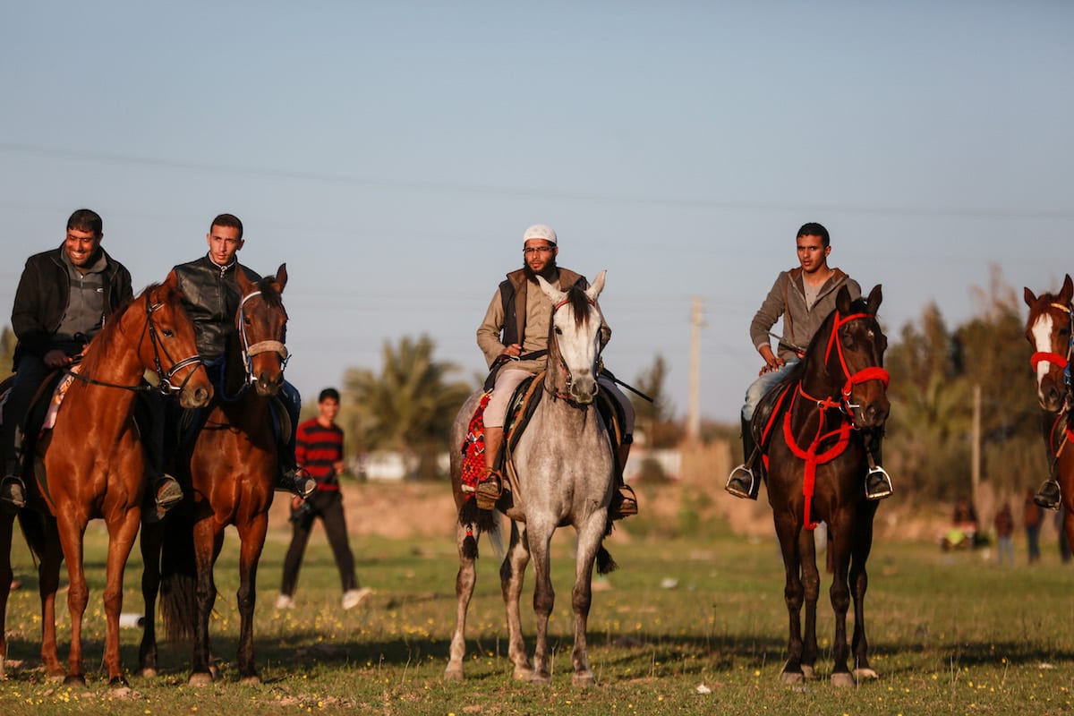 Galloping in Gaza Middle East Monitor