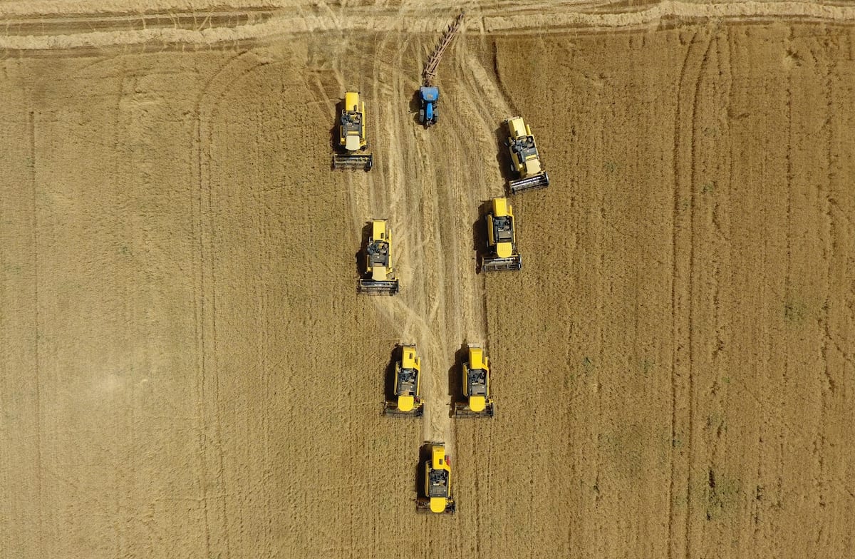 Harvest in Turkey – Middle East Monitor