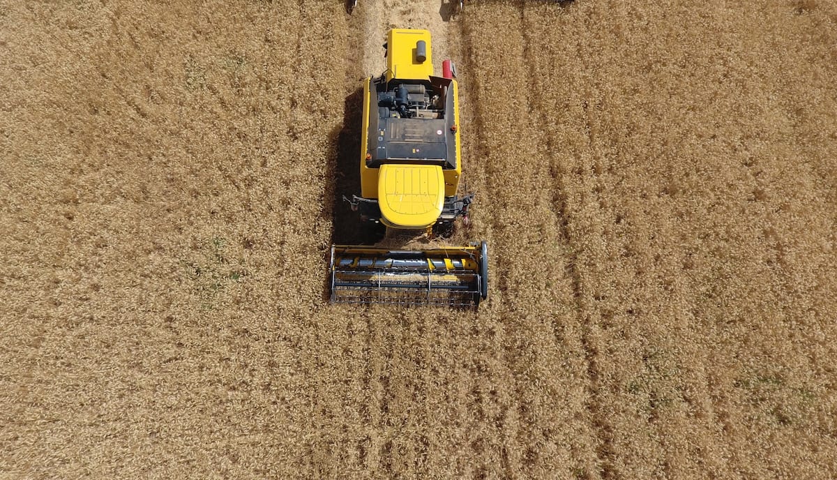 Harvest in Turkey – Middle East Monitor