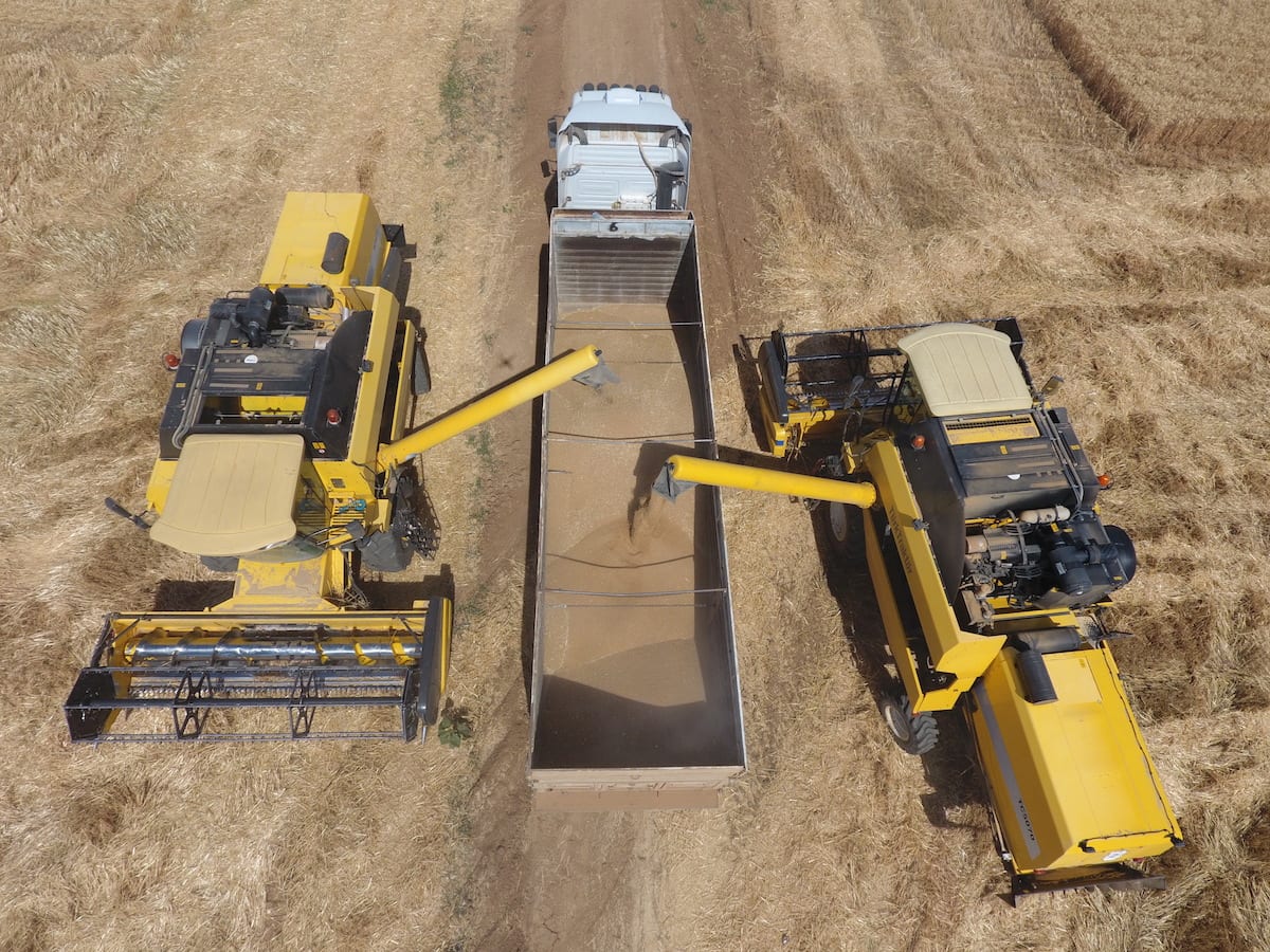 Harvest in Turkey – Middle East Monitor