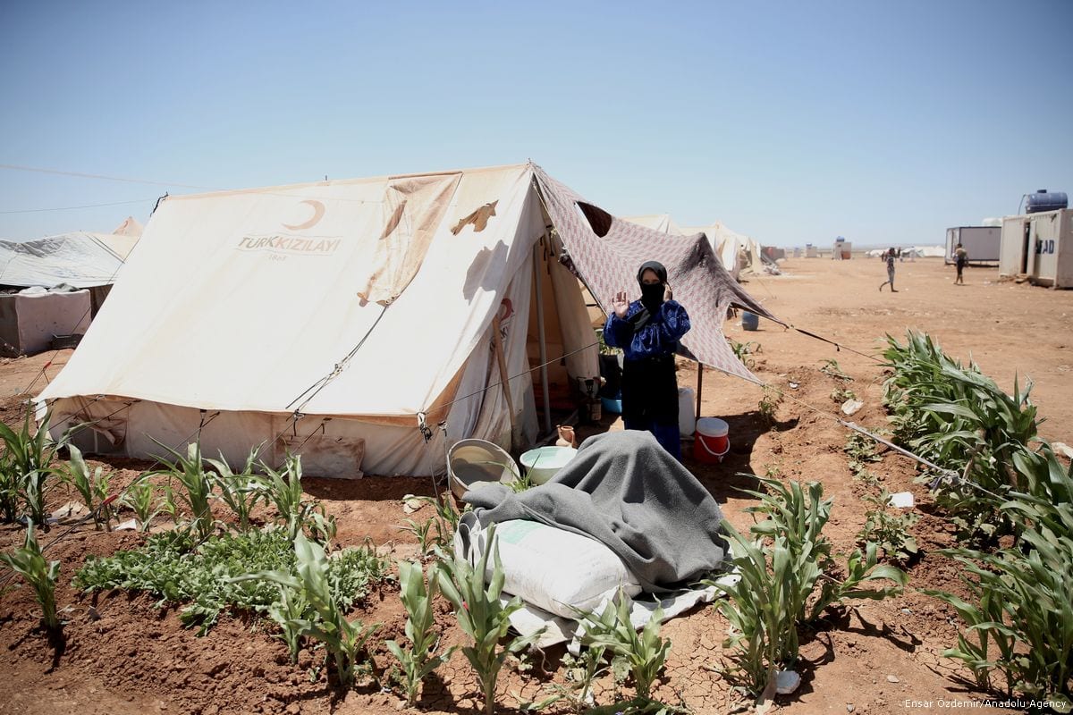 Life in Aleppo Middle East Monitor