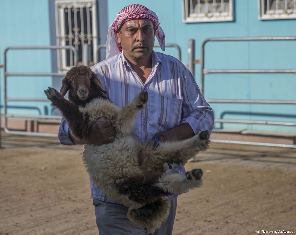 Eid Al Adha Preparations In Turkey Middle East Monitor eid-al-adha-preparations-in-turkey-middle-east-monitor