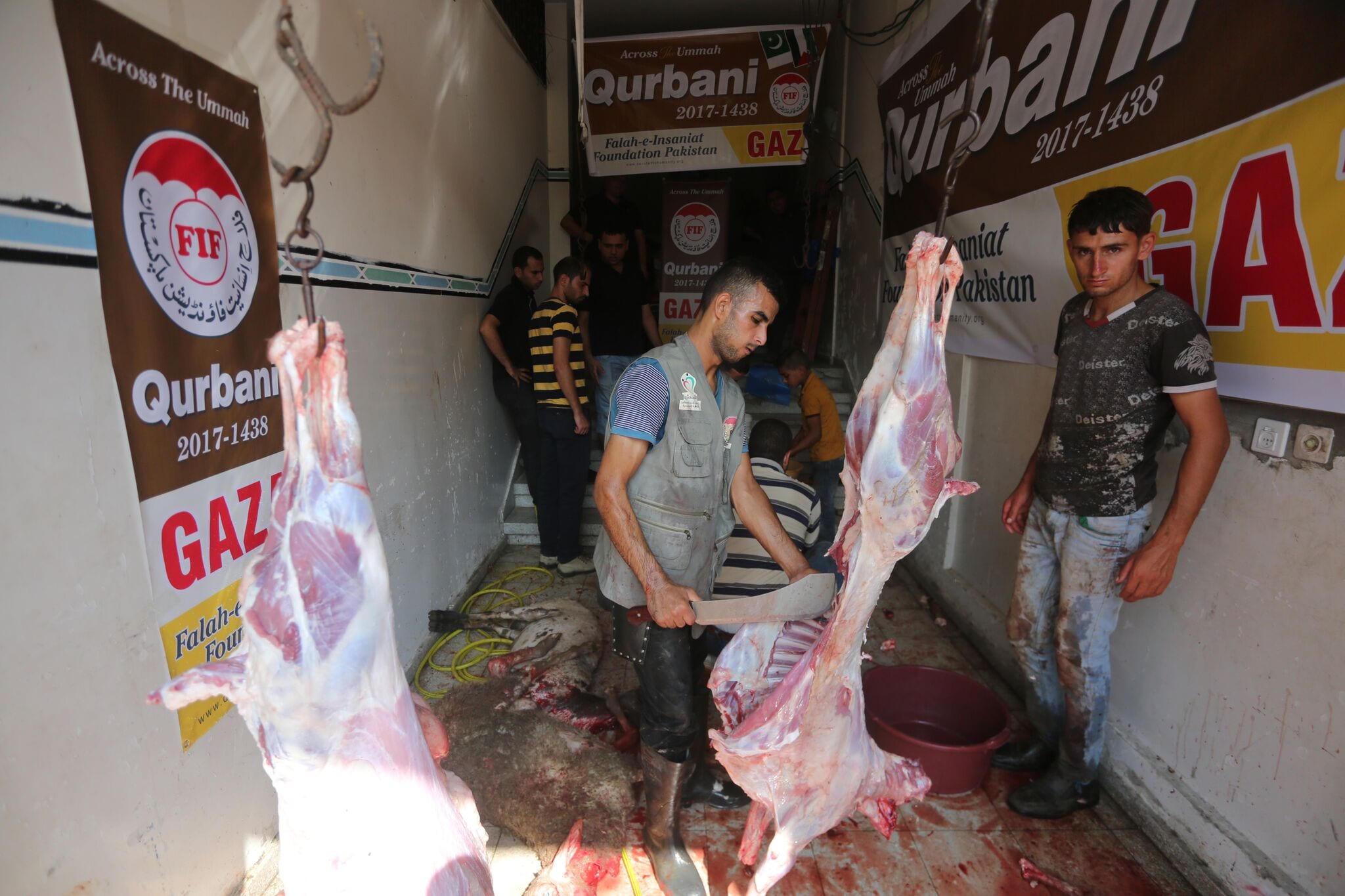 Qurbani meat being distributed in Gaza Middle East Monitor