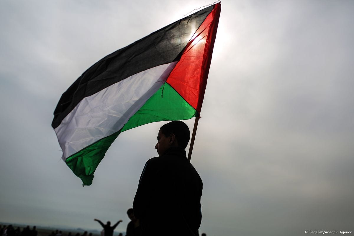 A Palestinian boy holds a Palestinian flag [Ali Jadallah/Anadolu Agency