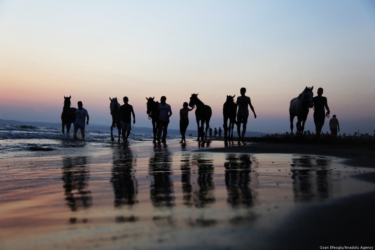 Horse-riding trainers swim with their horses at sea during sunset in Turkey on 5 September 2018 [Ozan Efeoğlu/Anadolu Agency]