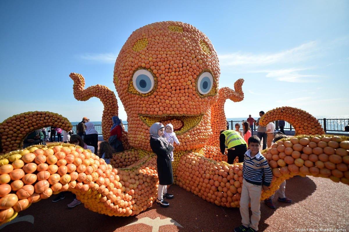 It was the 6th Annual Citrus Fest, and this giant octopus made of fruit came out to play! Turkey 17 November 2018 [Sezgin Pancar/Anadolu Agency]