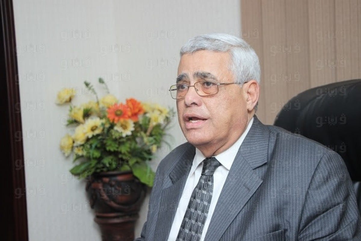 Professor of Political Science at Cairo University Hassan Nafaa