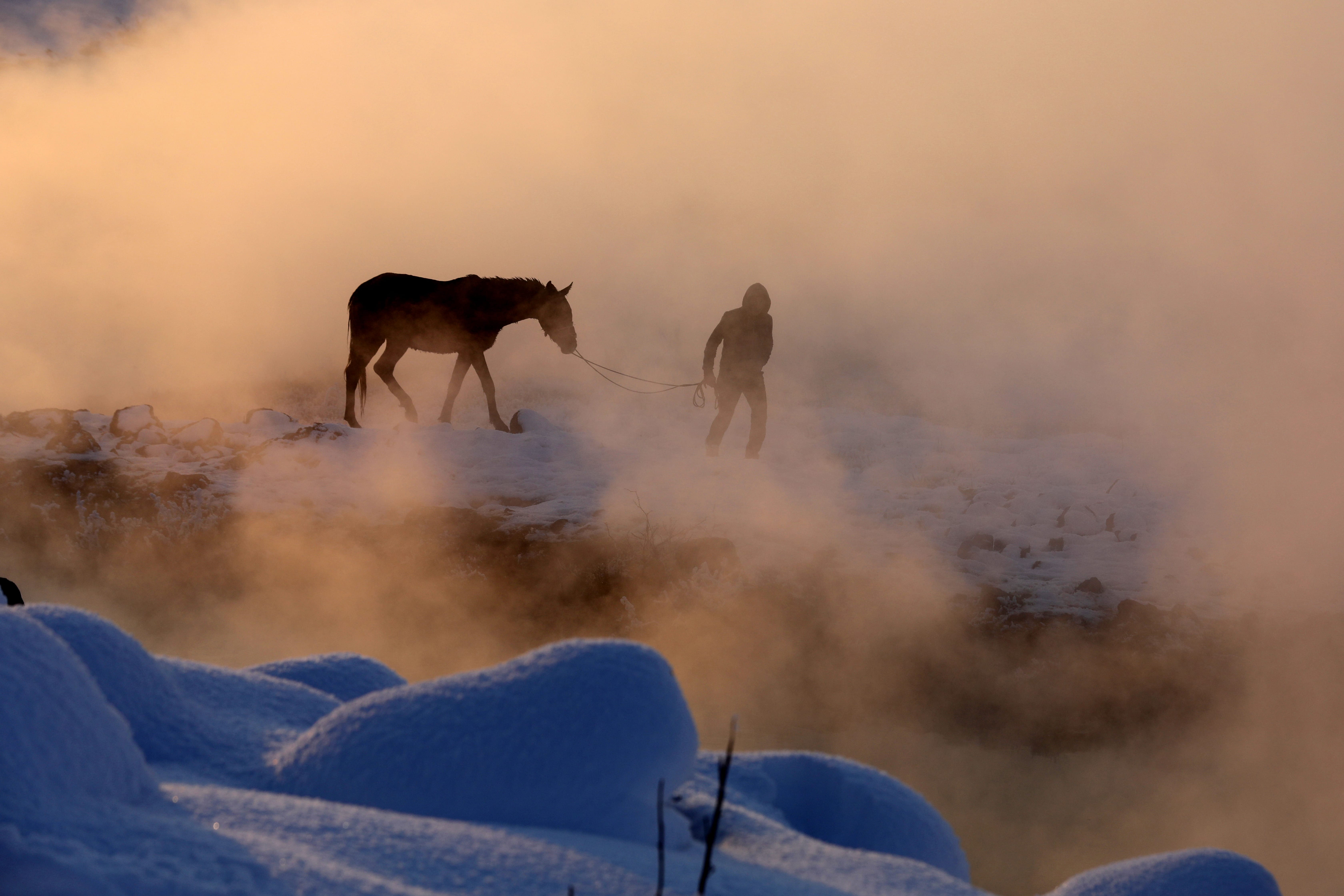 horsing-around-in-a-hot-spring-middle-east-monitor