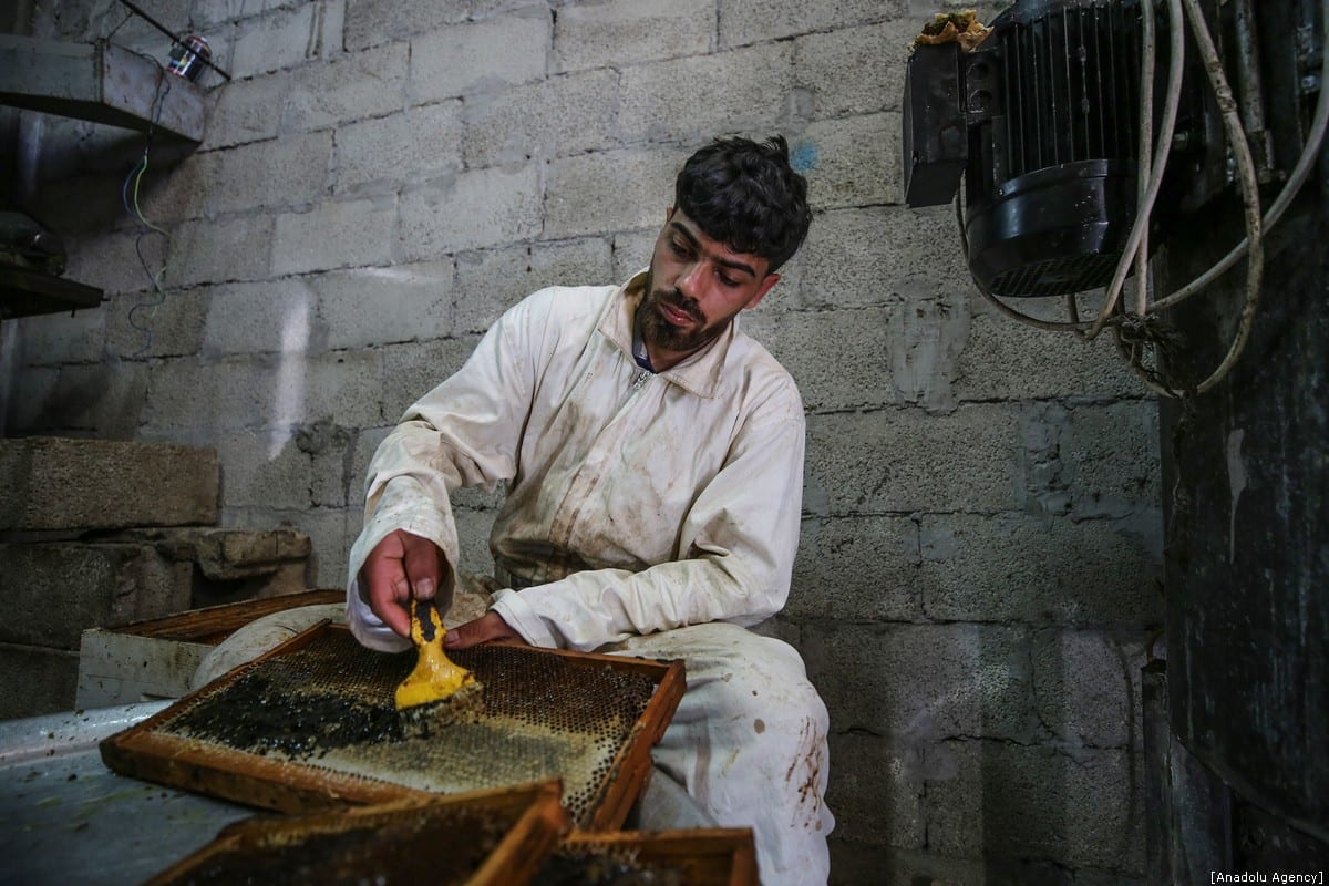 Honey farming in Gaza Middle East Monitor