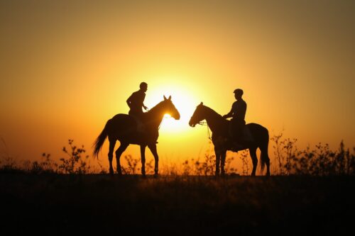horsing-around-on-the-lake-middle-east-monitor