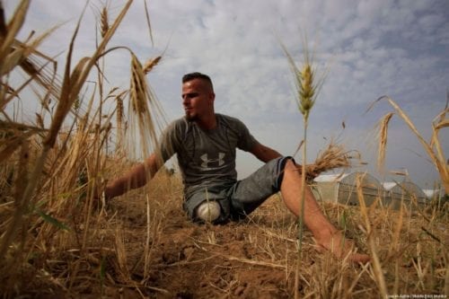 27-year-old Sohaib Qudeh, injured during the Gaza Great March of Return protests, seen on his family field in the southern Gaza city of Khan Younis, in June 2019 [Loai el-Agha / Middle East Monitor]