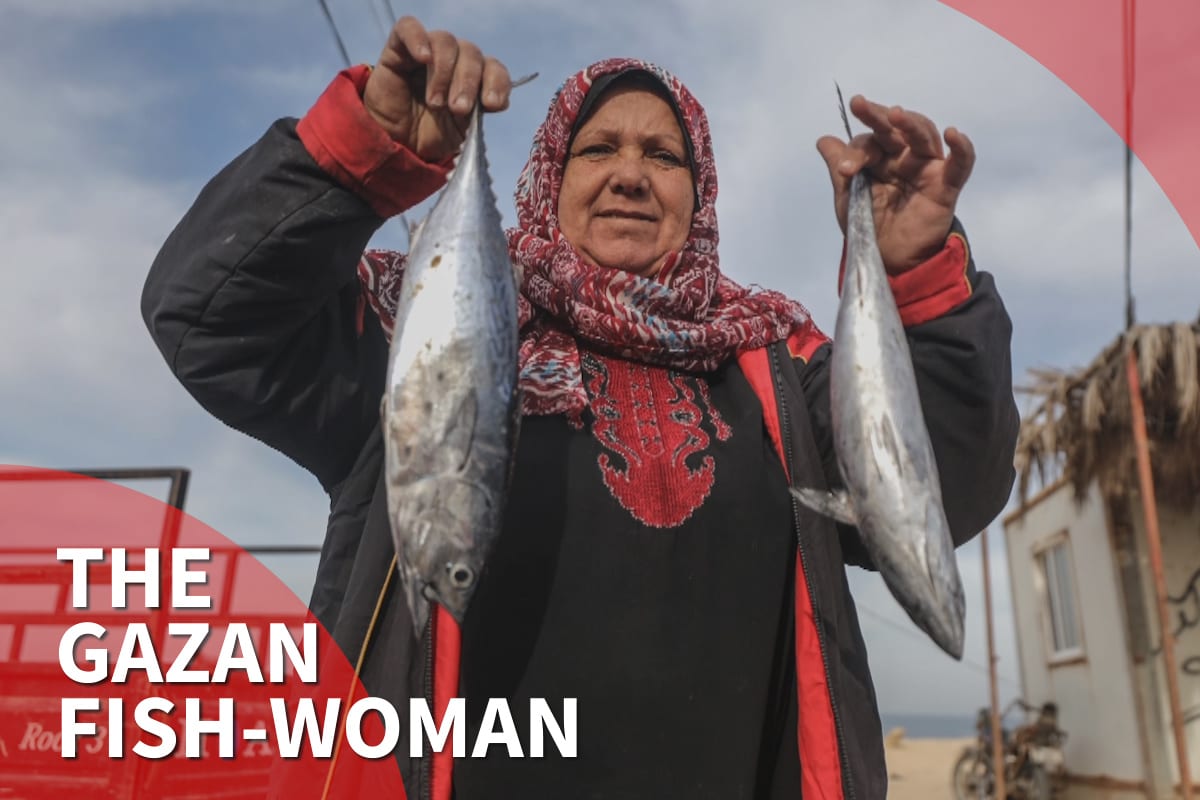 Thumbnail - Gaza's fish-woman competing with male fishmongers for 15 years