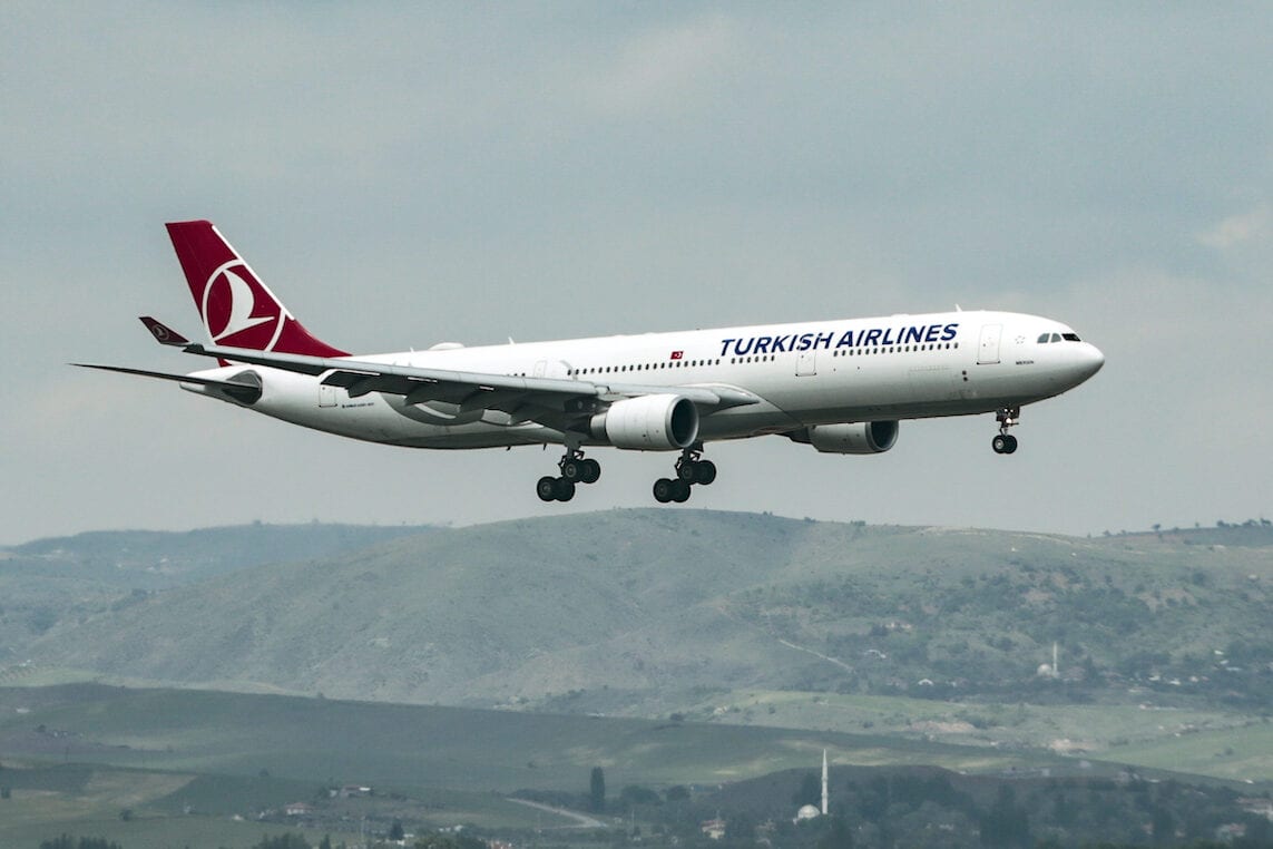 A Turkish Airlines plane is seen on June 1, 2020 [Metin Aktaş / Anadolu Agency]