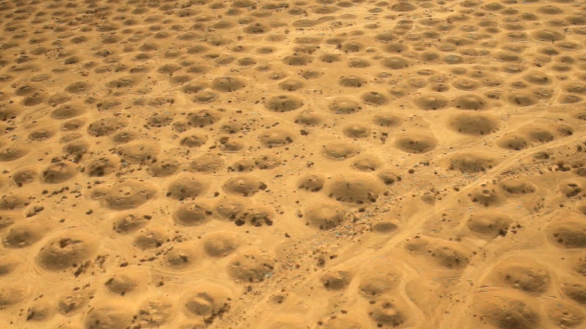 Discover Dilmun Burial Mounds, Bahrain