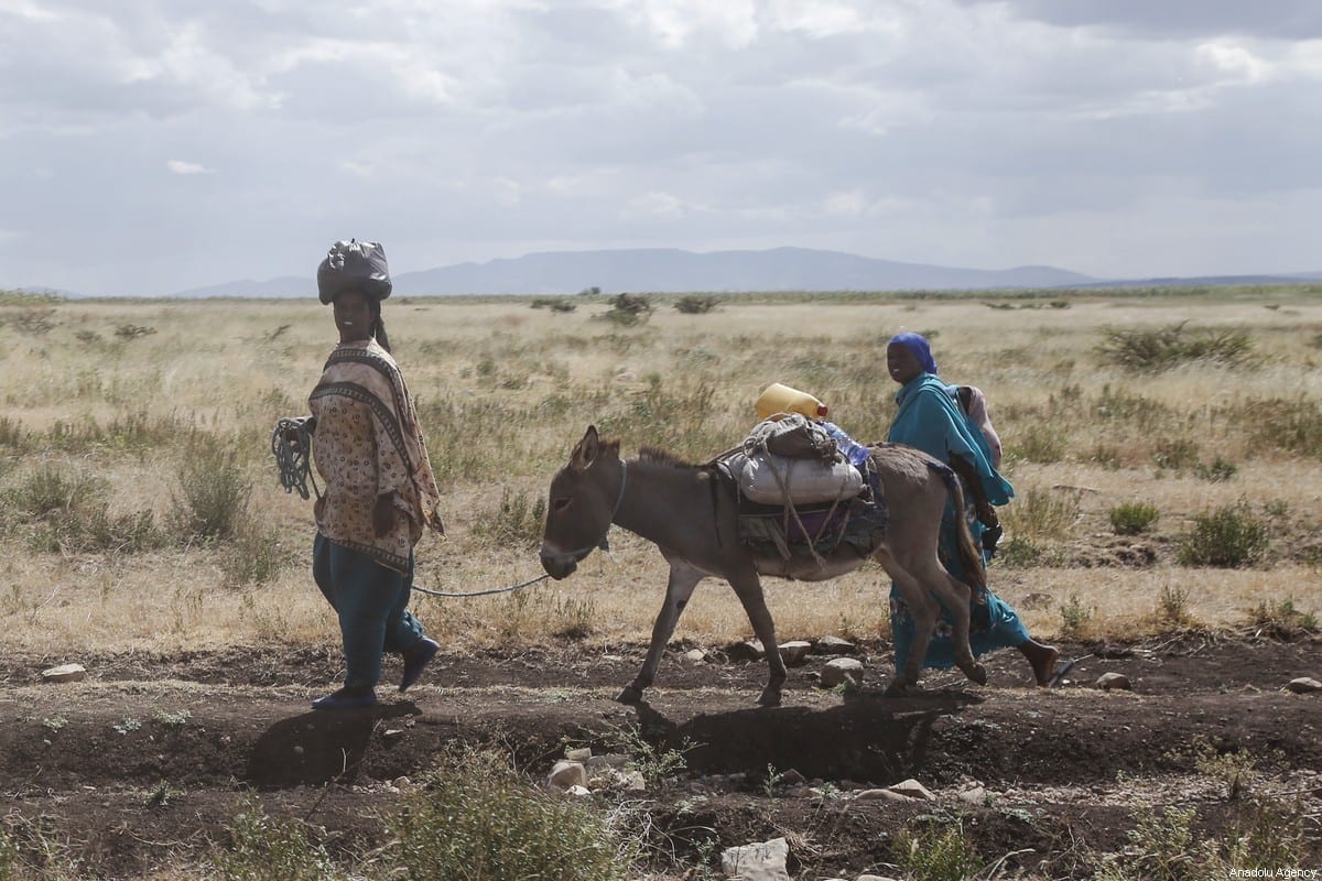 Daily life in Somali Region in Ethiopia \u2013 Middle East Monitor