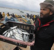 Palestinian fishermen in Gaza find an abundance of fish following days of high winds and rough seas grounded them, on 19 February 2021 [Mohammed Asad/Middle East Monitor]