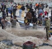 Palestinian fishermen in Gaza find an abundance of fish following days of high winds and rough seas grounded them, on 19 February 2021 [Mohammed Asad/Middle East Monitor]