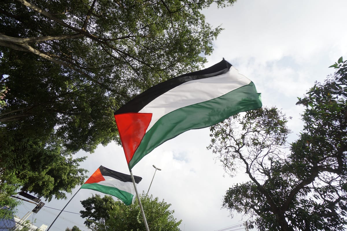 Palestinian flags on May 16, 2021. [Cristina Szucinski - Anadolu Agency]
