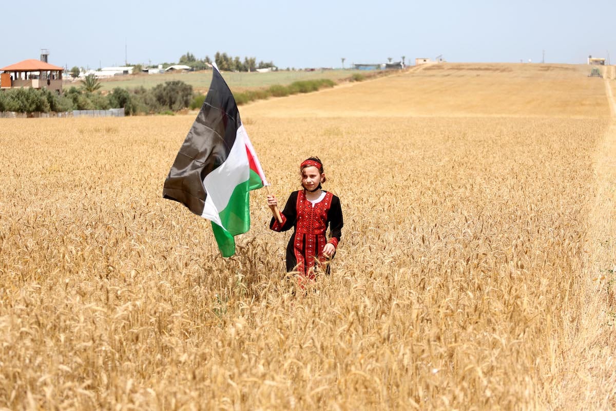 The grain harvest begins in Gaza, on 3 May 2021 [Mohammed Asad/Middle East Monitor]