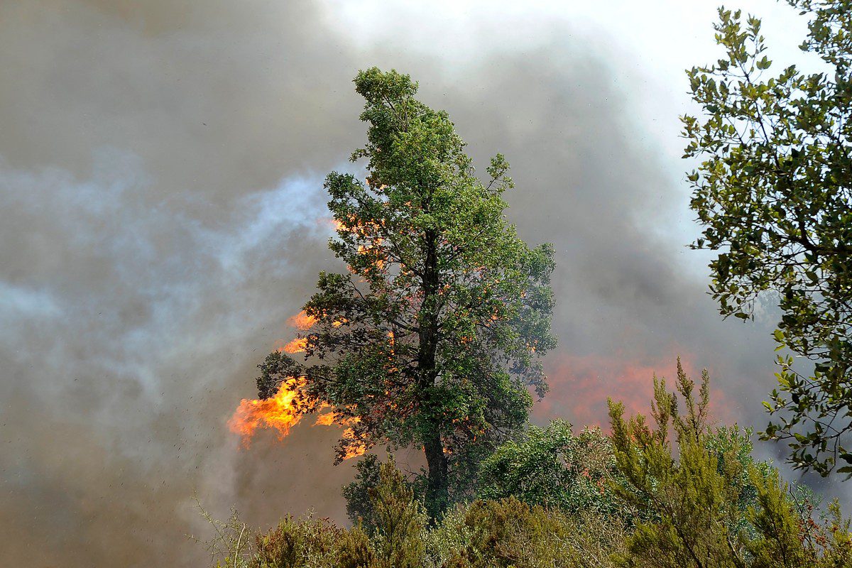 Smokes and flames rise from the wildfire as ground and aerial extinguishing operations continue in Tizi Ouzou, at Beni Douala town of Algeria on August 12, 2021 [Mousaab Rouibi/Anadolu Agency]