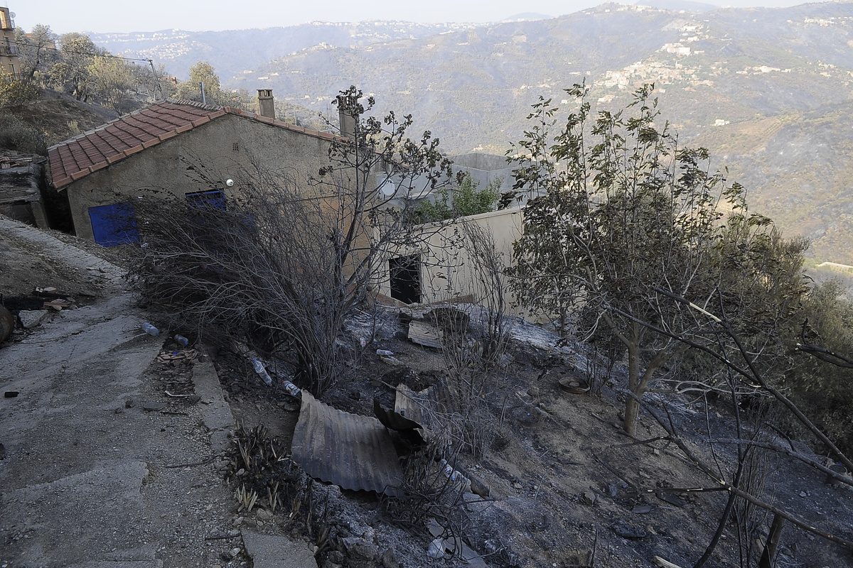 A view of the damaged area after wildfires as all fires have been extinguished in Tizi Ouzou, at Beni Douala town of Algeria on August 13, 2021. [Mousaab Rouibi - Anadolu Agency]