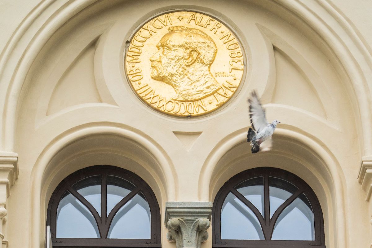 A peace dove flies past a relief of Alfred Nobel after it was released in front of the Nobel Peace Center in Oslo, Norway, on 8 October 2021. [ALI ZARE/NTB/AFP via Getty Images]