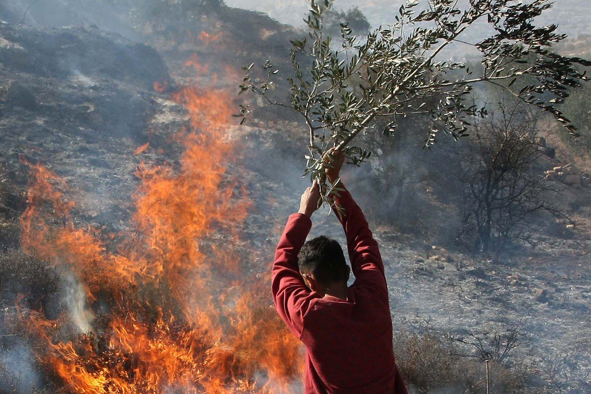 Palestinians extinguish fire at an olive tree grove that was allegedly set ablaze by Jewish settlers in the northern West Bank village of Salem, east of Nablus, on November 14, 2010 [JAAFAR ASHTIYEH/AFP via Getty Images]
