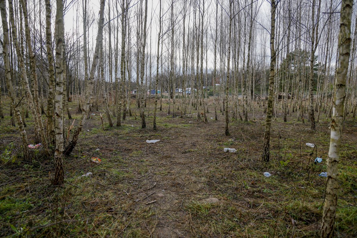 The area on the Belarusian side is seen after being organized and cleared, at the Poland-Belarus border, on November 21, 2021 in Belarus [Sefa Karacan - Anadolu Agency]