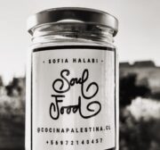[Sofia Halabi]