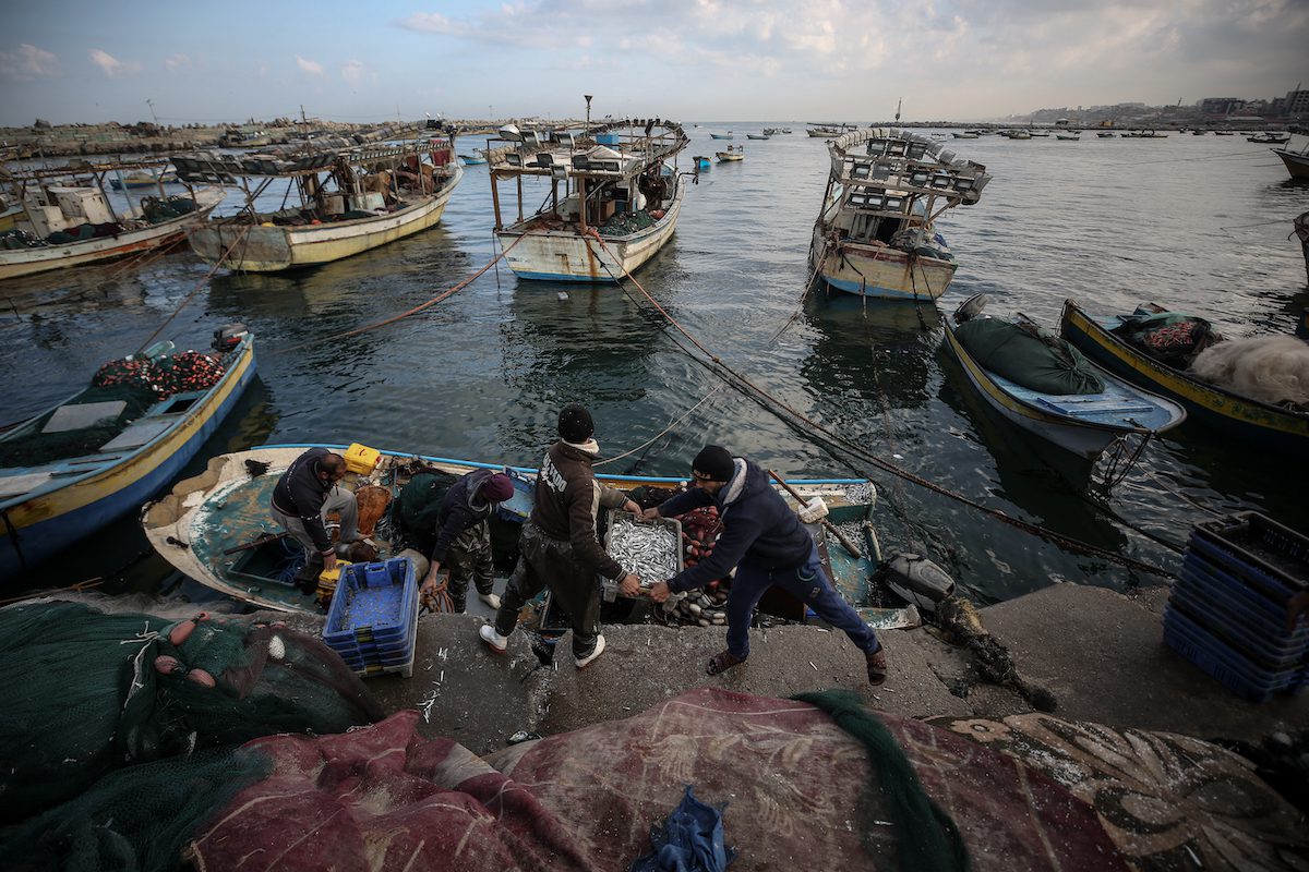 GAZA CITY, GAZA - FEBRUARY 16: Palestinian fishermen unload their catch at the seaport of Gaza City, Gaza on February 16, 2022. ( Ali Jadallah - Anadolu Agency )