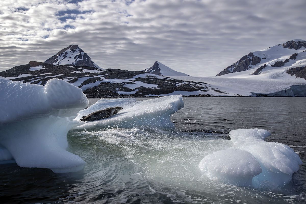 Turkish scientists, within the scope of the 6th National Antarctic Science Expedition, monitored the global climate change and followed the glaciers that provide the heat balance of the world and decrease every year. [Şebnem Coşkun - Anadolu Agency]