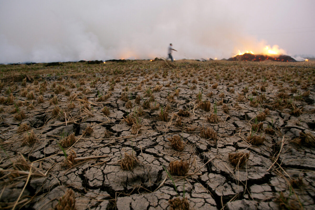 Egyptian farmer burns hay stubbles in Qaliubia, north of Cairo, on October 23, 2006 [KHALED DESOUKI/AFP via Getty Images]