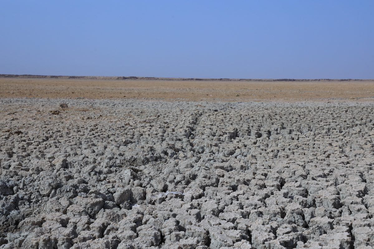 MUTHANHA, IRAQ - APRIL 26: A view from Lake Sawa, which is not connected to any river or stream, after drought due to climate change and harmful agricultural policies that deplete groundwater resources in Muthanna, Iraq on April 26, 2022. Water scarcity, increase in salt concentration and sandstorms caused by climate change cause the destruction of important ancient structures, cultural and natural heritage of world heritage in Mesopotamia, including Iraq. Lake Sawa, located in the closed basin west of Samawa, the city center of Iraq's Muthanha province, which has been home to at least 31 bird species including gray heron and ferruginous duck for centuries, has now left its place to cracked soil and dried lake bed. ( Arshad Mohammed - Anadolu Agency )