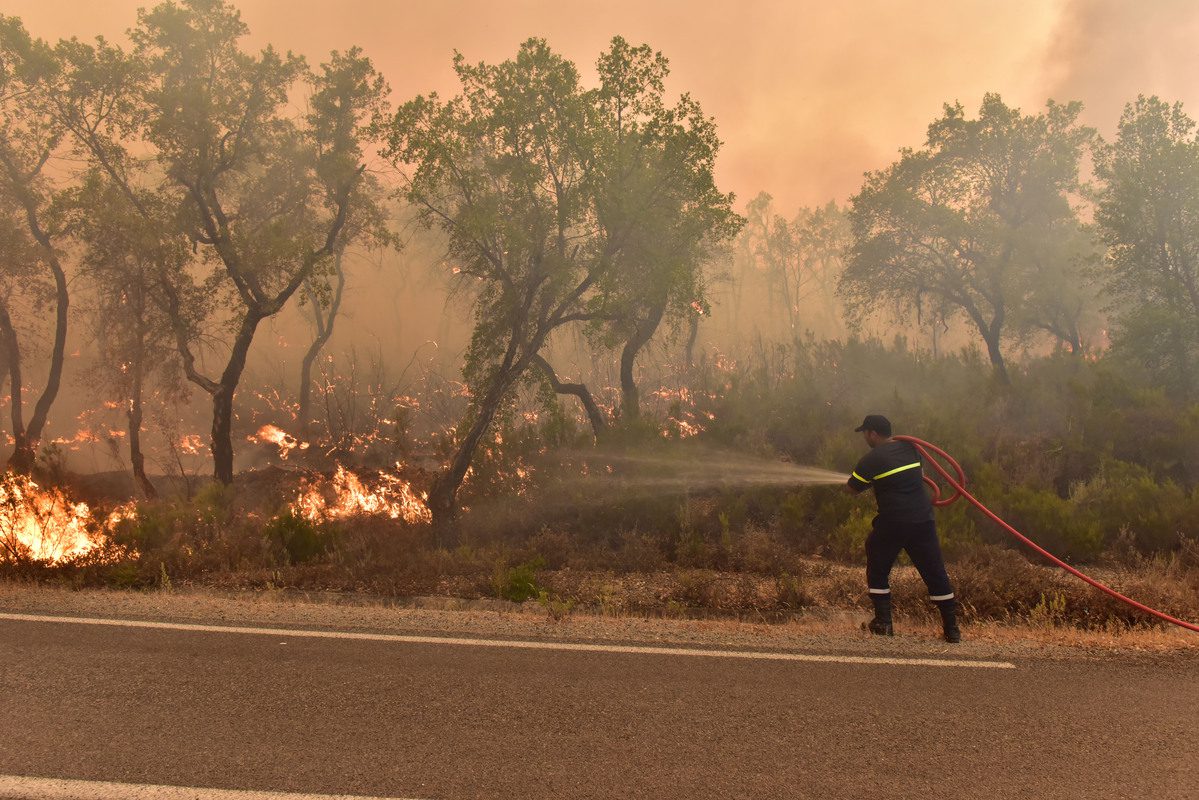 Firefighters intervene by land to control a wildfire in Rabat, Morocco on July 15, 2022. [Jalal Morchidi - Anadolu Agency]