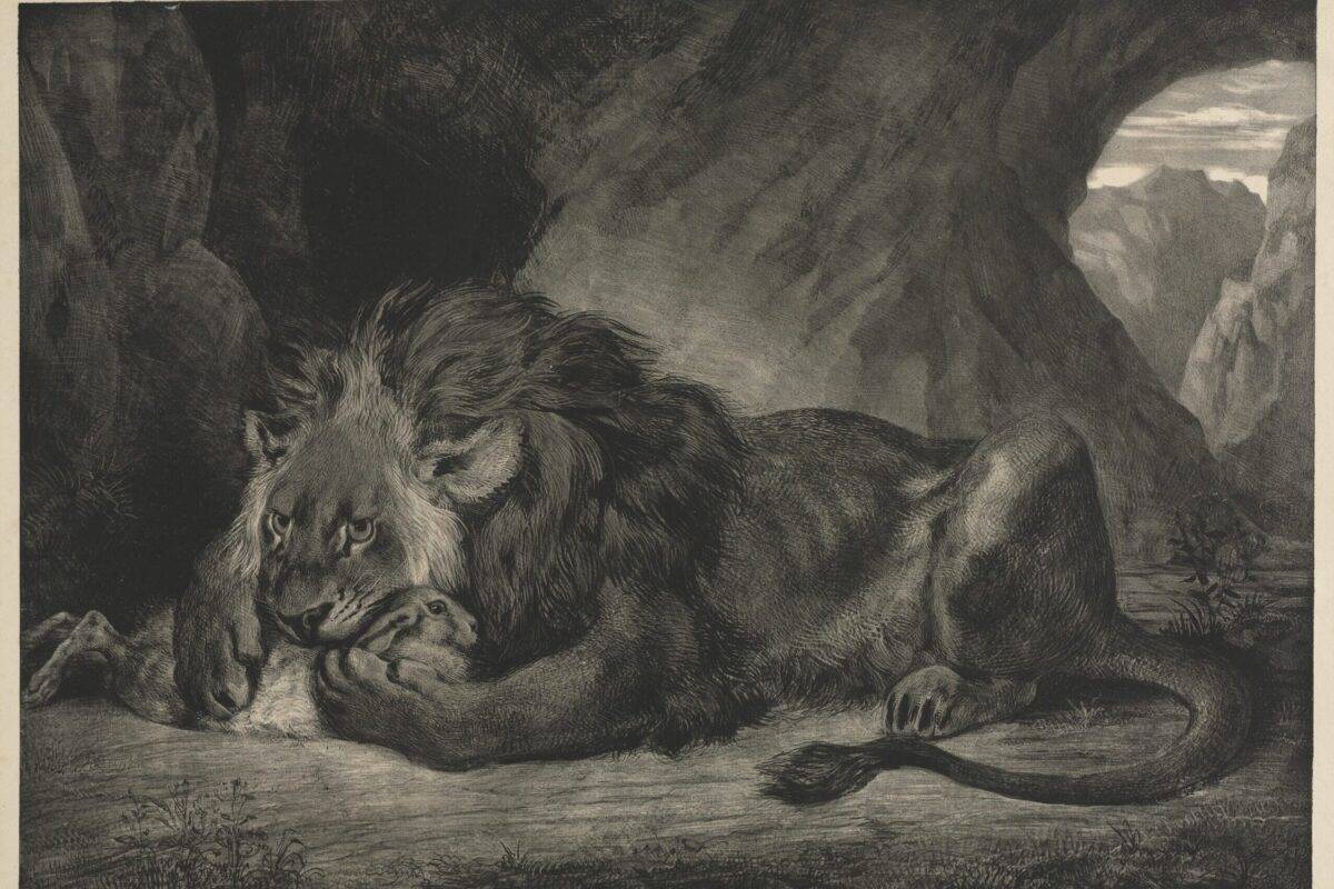 Lion de l'Atlas, 1829 by Eugene Delacroix, lithograph [Sepia Times/Universal Images Group via Getty Images]