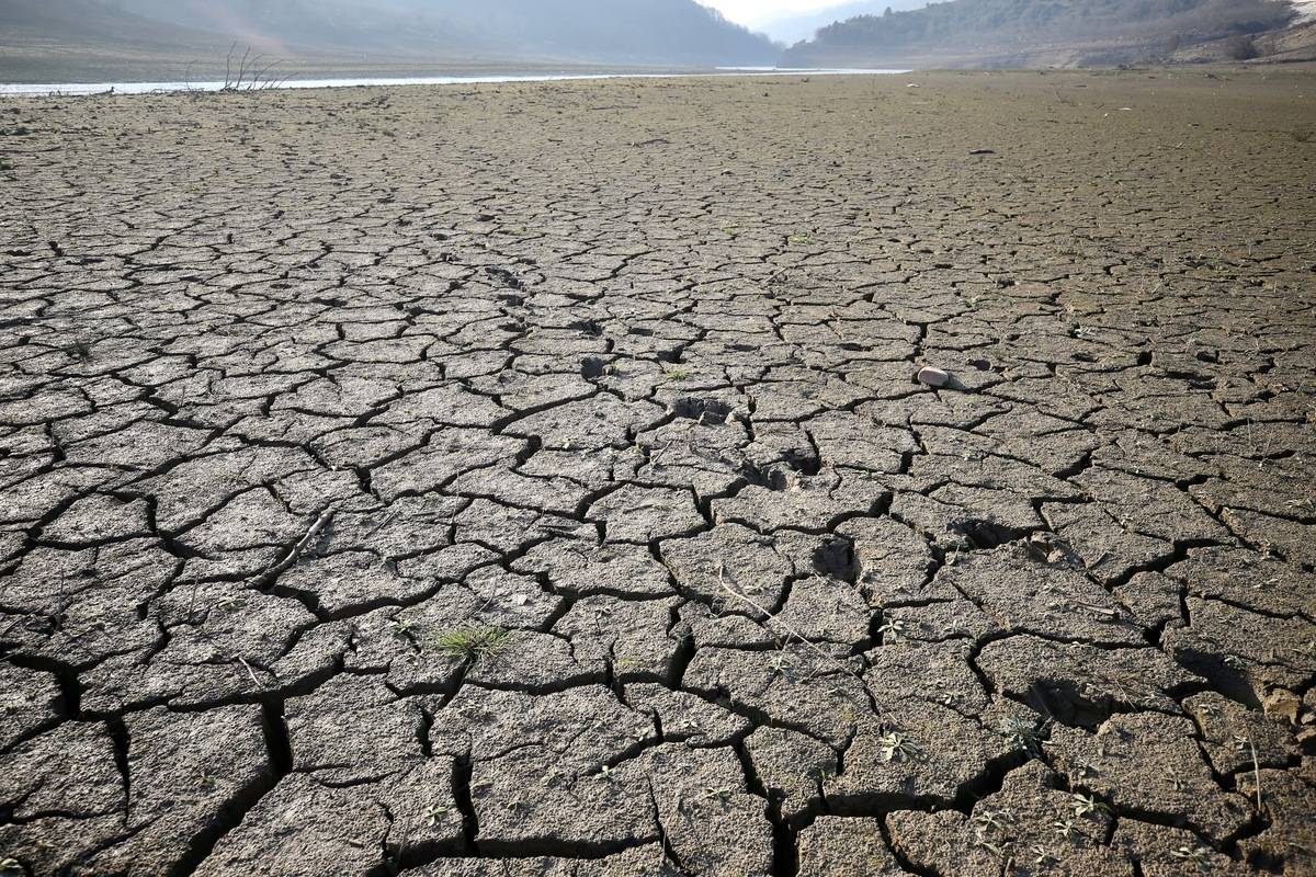 A view of dry and cracked soil [Ömer Ürer - Anadolu Agency]