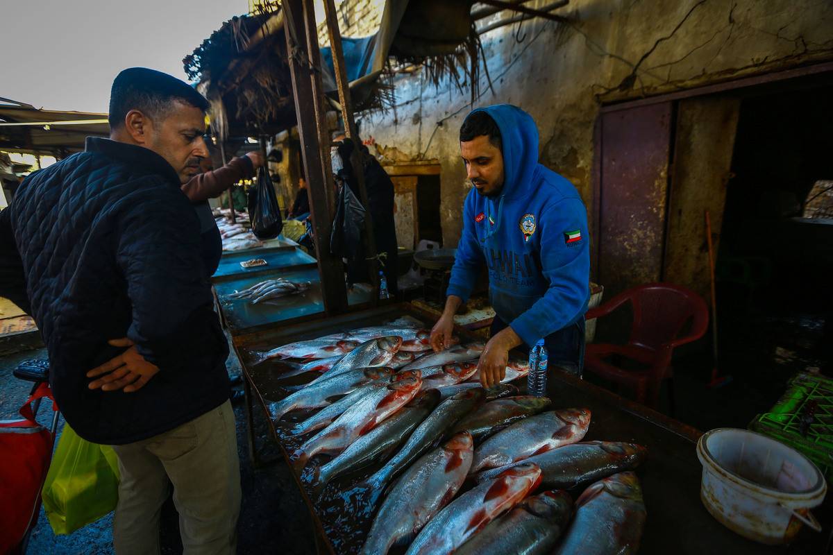 Fish bazaar in Iraq’s Basra – Middle East Monitor