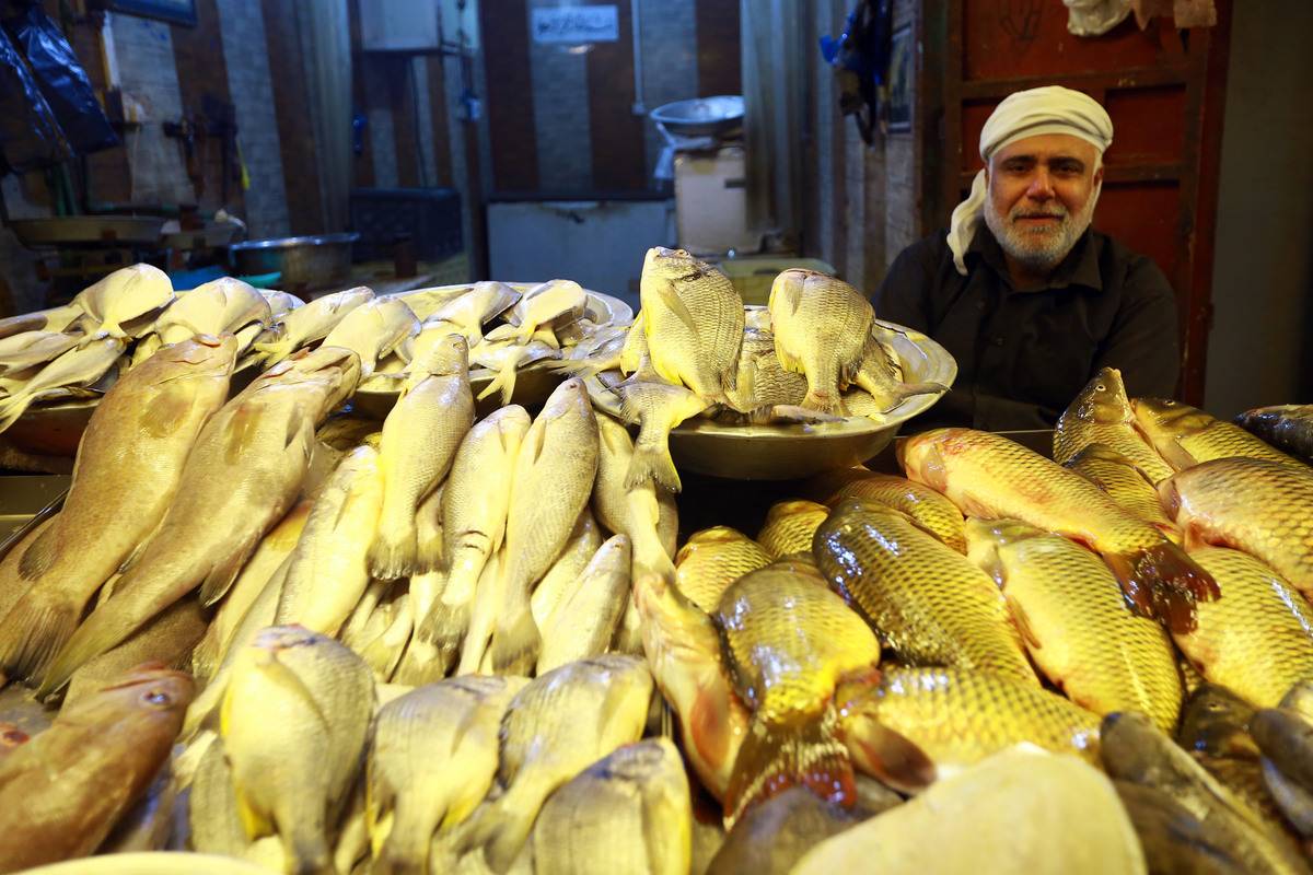 Fish bazaar in Iraq’s Basra – Middle East Monitor