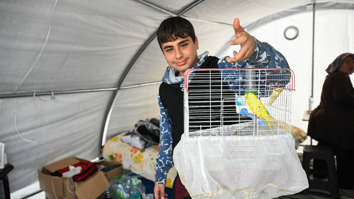 Tent cities in quake-hit southern Turkiye become pet sanctuaries