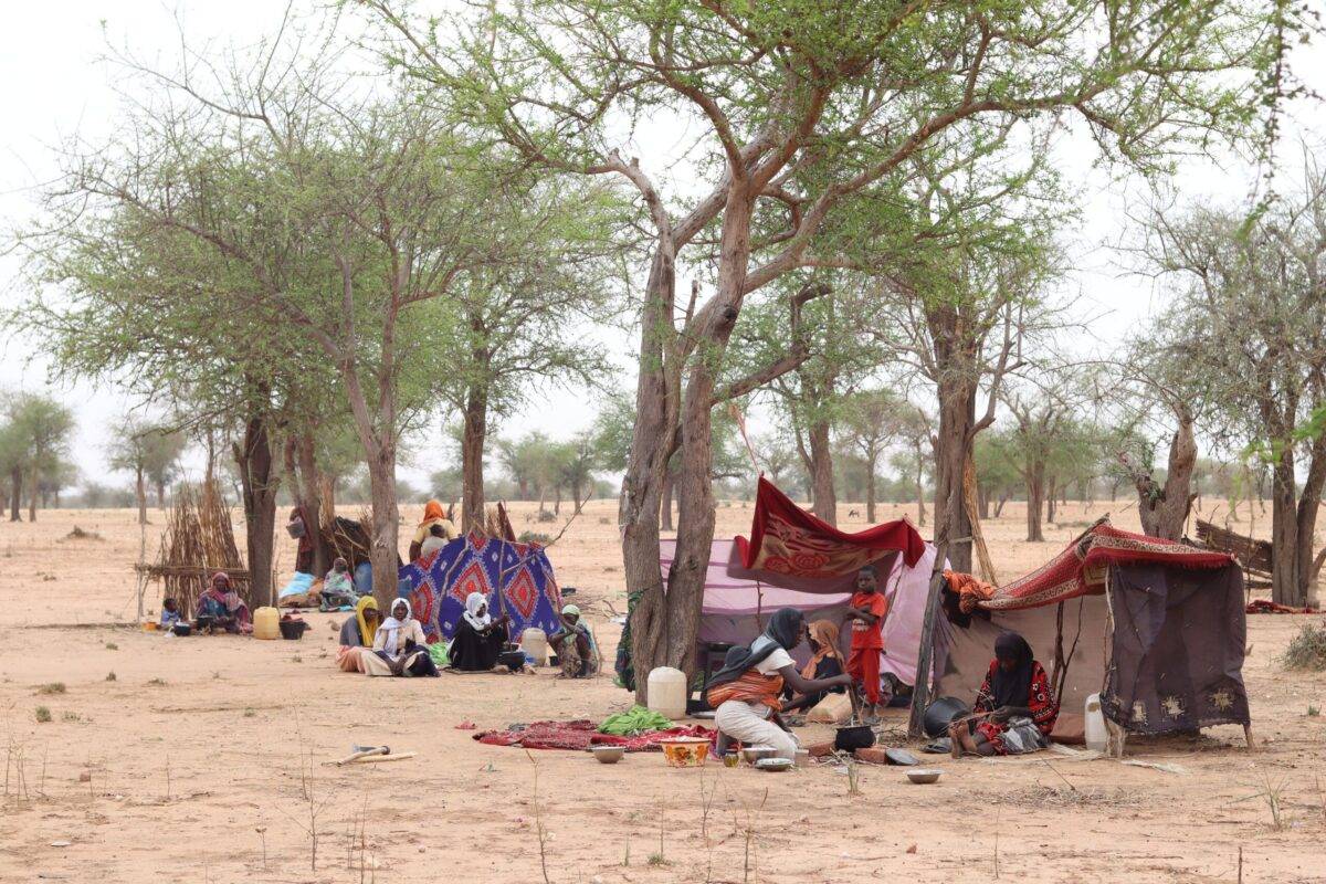 Sudanese refugees who crossed into Chad set up shelter at a camp in Koufroun, near Echbara, on May 1, 2023 [GUEIPEUR DENIS SASSOU/AFP via Getty Images]