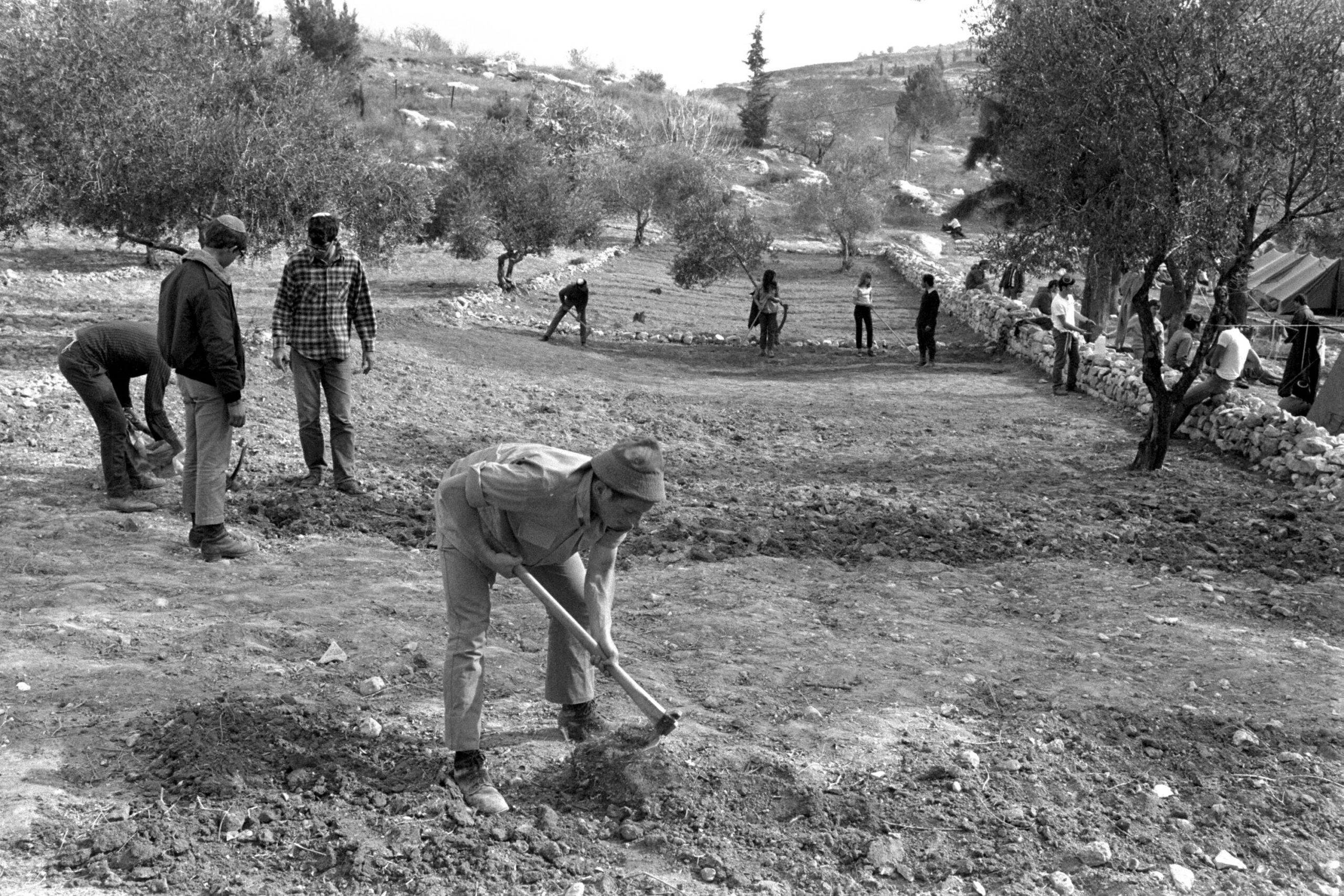 Right-wing Jewish settlers level the ground for an encampment where they hope to build the first Jewish settlement on 8 December, 1975 at the Sebastia railway station in the northern West Bank [Moshe Milner/GPO via Getty Images]
