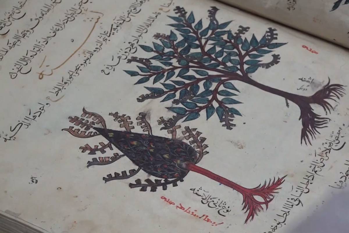 Thumbnail - Iran: 500-year-old library holds knowledge from Islam’s 'Golden Age'