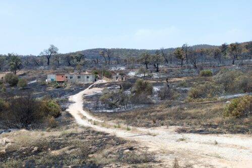 A view of burned area during wildfire in Jendouba, Tunisia on July 25, 2023. [Arbi Mahjoubi - Anadolu Agency]