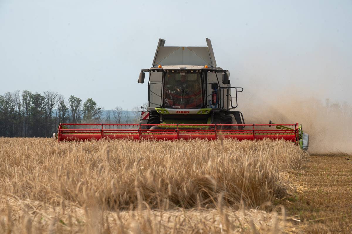A farming vehicle harvests wheat during the harvesting season in Kharkiv region, Ukraine on July 26, 2023 [Stringer - Anadolu Agency]