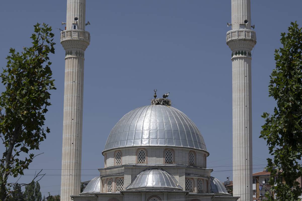 Storks stand on a nest placed on the dome of Nuryagdi Mosque which has been hosting them almost 10 years, in Pursaklar district of Ankara, Turkiye on July 26, 2023 [Osmancan Gürdoğan - Anadolu Agency]